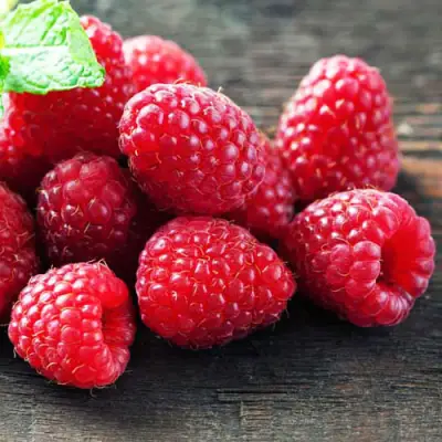 Малина ЭРИКА в Могилёве