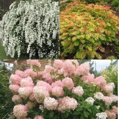 Комплект ФЕЙЕРВЕРК ЛЕТА в Могилёве