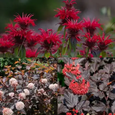 Комплект ОГНЕННЫЙ МИКС в Могилёве