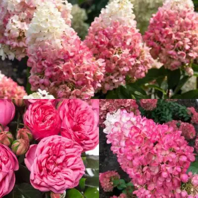 Комплект МАЛИНОВЫЙ ДЕСЕРТ в Могилёве