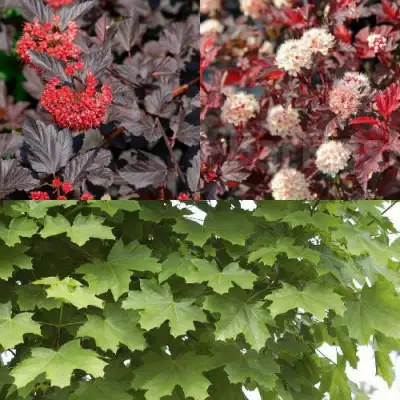 Комплект ОСЕННИЙ КОСТЕР в Могилёве