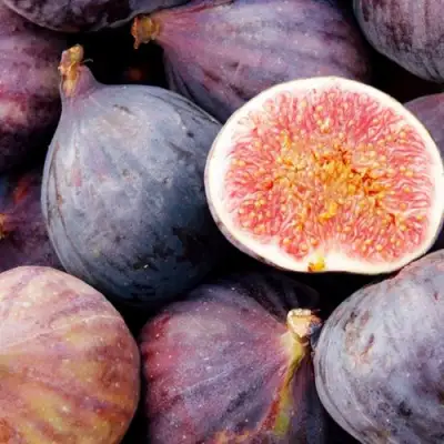 Инжир МУАССОН в Могилёве