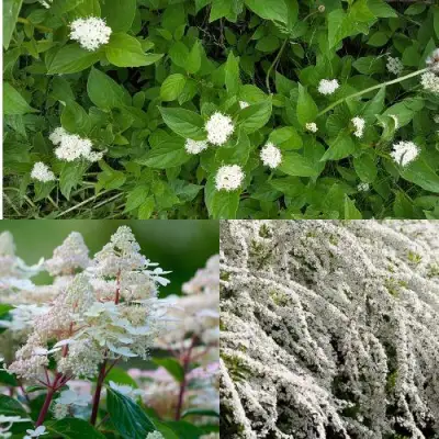 Комплект СКАНДИНАВСКИЙ СТИЛЬ в Могилёве