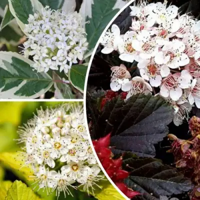 Комплект ЯРКАЯ ВСПЫШКА в Могилёве