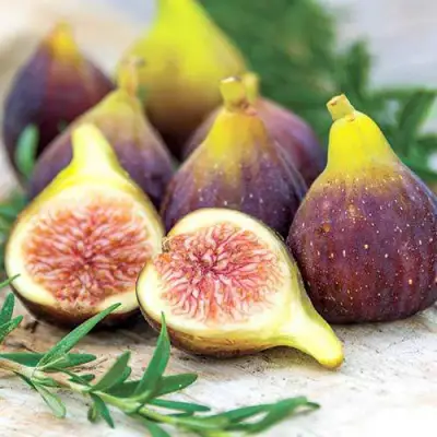 Инжир НИКИТСКИЙ в Могилёве