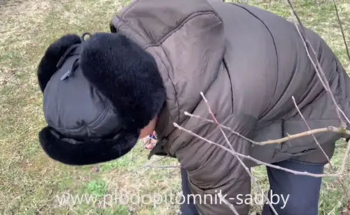 Превью видео