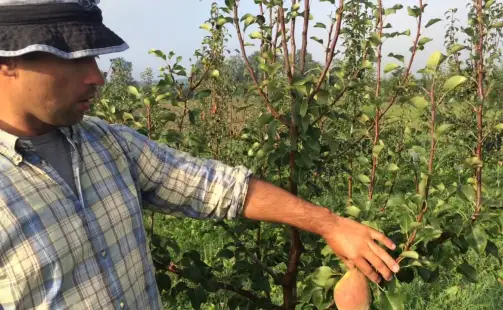 Превью видео