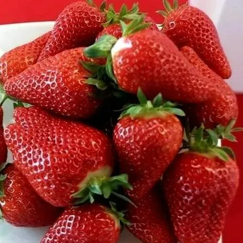 Клубника БРИЛЛА  Клубника БРИЛЛА в Могилёве