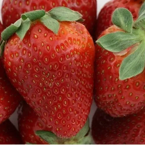 Клубника ФЛАМИНИЯ  Клубника ФЛАМИНИЯ в Могилёве