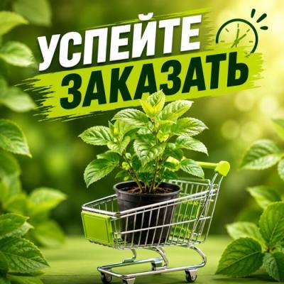 УСПЕЙТЕ ЗАКАЗАТЬ УСПЕЙТЕ ЗАКАЗАТЬ в Могилёве