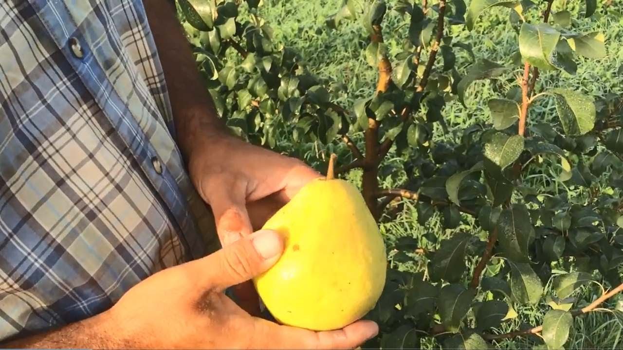 Превью видео