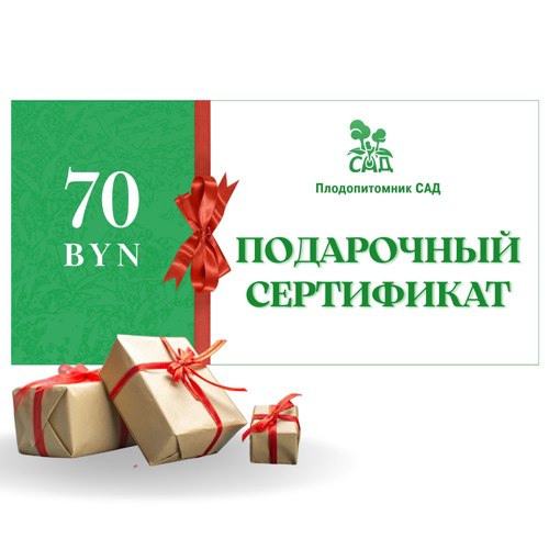 Подарочный сертификат на  70 BYN в Могилёве