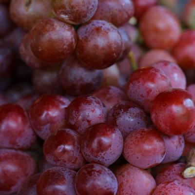 Красный в Могилёве