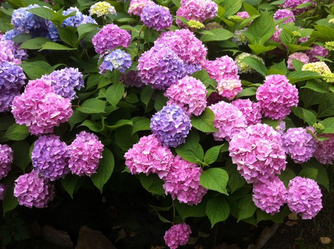 Ю энд Ми Форевер (You & Me Forever).jpg